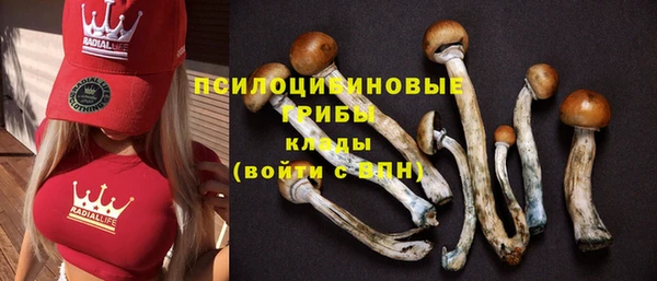 круглые Вязьма
