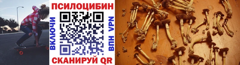 закладки  Облучье  MEGA ТОР  Псилоцибиновые грибы MAGIC MUSHROOMS 